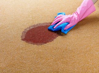 Comprehensive Cleaning Solutions – Carpet Cleaning Companies That Handle Rugs, Upholstery, and More