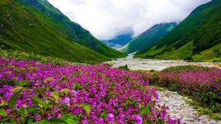 Hampta Pass Trek – A Thrilling Journey Through the Himalayas