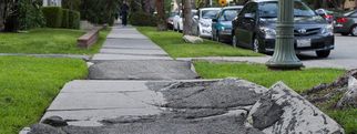 Your Comprehensive Guide to Cement Sidewalk Repair and Walkway Costs in the USA