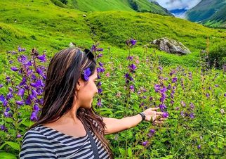 Valley of Flowers Trek Package - Hellohikers