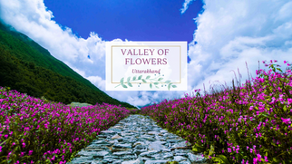 Valley of Flowers Trek in Uttarakhand 2025 - Best Monsoon Trek in World