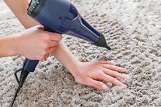 6 Expert Rug Cleaning Services in the Bronx You Can Trust with Your Favorite Rug