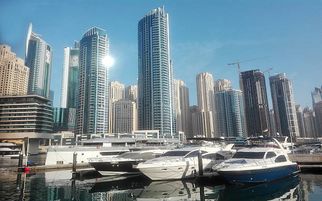 Unforgettable Views on the Lotus Mega Yacht