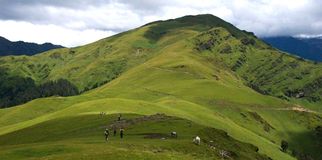 Ali Bedni Bugyal Trek: Walking Through the Meadows of Heaven
