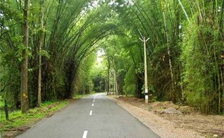 From Bangalore with Love: Journey to Wayanad&#039;s Tranquil Beauty