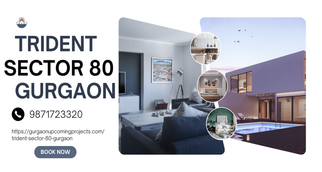 Trident Sector 80 Gurgaon: A Legacy of Luxury and Connectivity