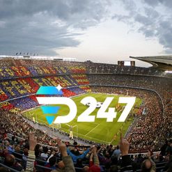 How to Use Live Scores and Real-Time Updates with Your D247 ID