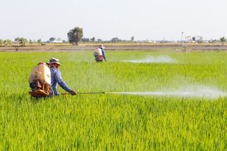 Fertilizer Frontier: Unlock Crop Potential with Bharat Agro Chemicals and Fertilizers