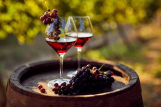 Red Wine Revelations: What to Eat with Red Wine &amp; Perfect Cheese Pairings