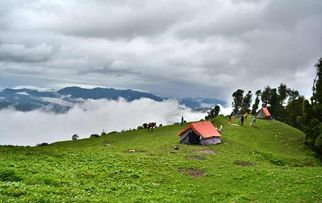 Nag Tibba Trek: The Perfect Weekend Adventure for Every Explorer