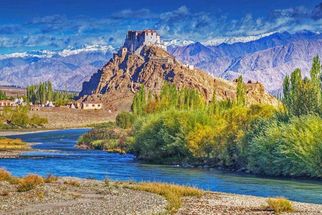 Top Family Tours in Ladakh 2025: Best Trip to Ladakh for All Ages