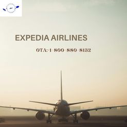 How do I talk to a real person on Expedia?