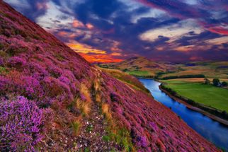 Bloom Beyond the Trails: Discover the Magic of the Valley of Flowers Trek