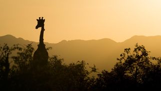 A Traveler&#039;s Introduction to eSwatini