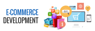 Transform Your Business with Professional E-commerce Development Services