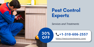 The Power of Routine Pest Control: Your Path to Peace of Mind