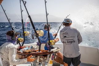 Best Fishing Spots in Cape Verde | Miss Angela