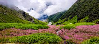 🌸 Valley of Flowers Trek – Discover India’s Most Beautiful Hidden Valley