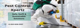 Bee &amp; Wasp Control in Los Angeles and Orange County