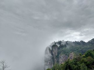 Discover the Magic of Kodaikanal Tour Packages