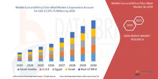 Middle East and Africa Chlor-Alkali Market Future Scope: Growth, Share, Value, Size, and Analysis