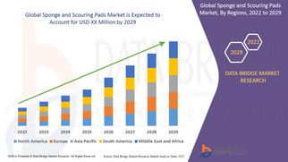 Sponge and Scouring Pads Market Opportunities: Growth, Share, Value, Size, and Scope