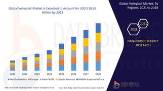 Volleyball Market Poised for Expansion Amid Surge in Recreational and Professional Sports Activities