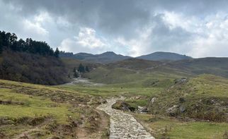 Summer’s Green Carpet: Discovering Vast, Lush Meadows High in the Hills