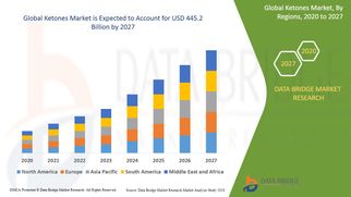 Global Ketones Market Set to Accelerate with Rising Demand for Energy-Boosting and Weight Management