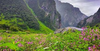Valley of Flowers Entry Route: Know Your Stops from Joshimath to Ghangaria