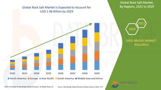Rock Salt Market Size, Share, Trends, Growth Opportunities and Competitive Outlook