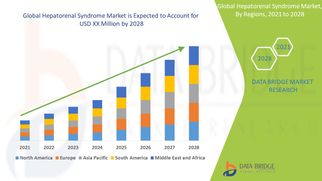 Global Hepatorenal Syndrome Market Insights: Growth, Share, Value, Size, and Trends