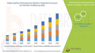 Capillary Electrophoresis Market Research Report: Growth, Share, Value, Trends, and Insights