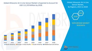 Ultrasonic Air in Line Sensor Market Set to Expand Amid Growing Use in Infusion Pumps