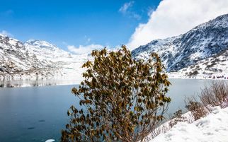 8 Reasons to Visit Gangtok in Winter