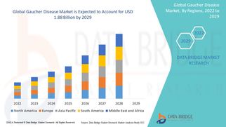 Gaucher Disease Market Size, Share, Trends, Demand, Growth, Challenges and Competitive Outlook