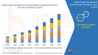 Freight Management System Market Size, Share, Trends, Demand, Growth and Competitive Analysis