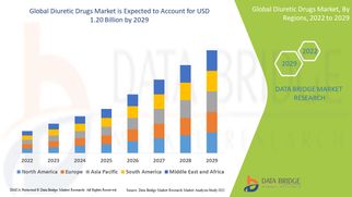 Diuretic Drugs Market Size, Share, Trends, Opportunities, Key Drivers and Growth Prospectus