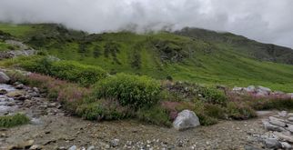 Top 2 Beginner-Friendly Monsoon Treks in Uttarakhand