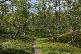 Weekend Getaways from Bangalore &ndash; 7 Escapes to Refresh Your Mind and Soul