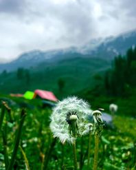 Timing Your Adventure: When to Trek Hampta Pass for the Best Experience