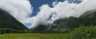 Why Valley of Flowers is the Best Monsoon Trek