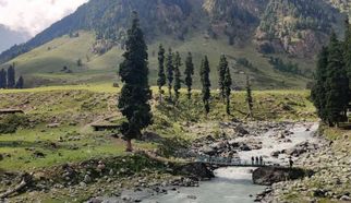 Where the Mountains Bloom: Flower-Filled Treks You’ll Fall in Love With in India