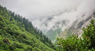 Chasing Monsoon Trails: A Journey into Himalayan Wildlands