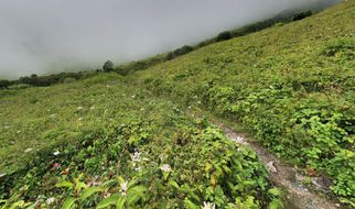 Can First-Timers Do the Valley of Flowers Trek Comfortably?