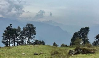 Things They Don’t Tell You About Dayara Bugyal in the Monsoon