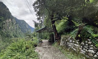 Your Ultimate Guide to Valley of Flowers Weather and Packing Tips