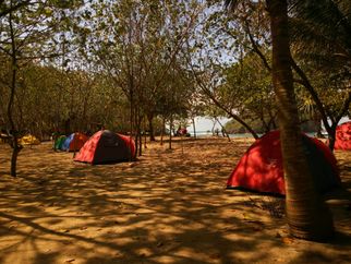 10 Best Kid-Friendly Campsites in California for 2025