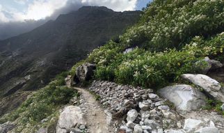 Gear Guide for a Rainy-Season Trek to the Valley of Flowers