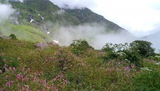 How Climate Change is Impacting the Monsoon Patterns in the Valley of Flowers